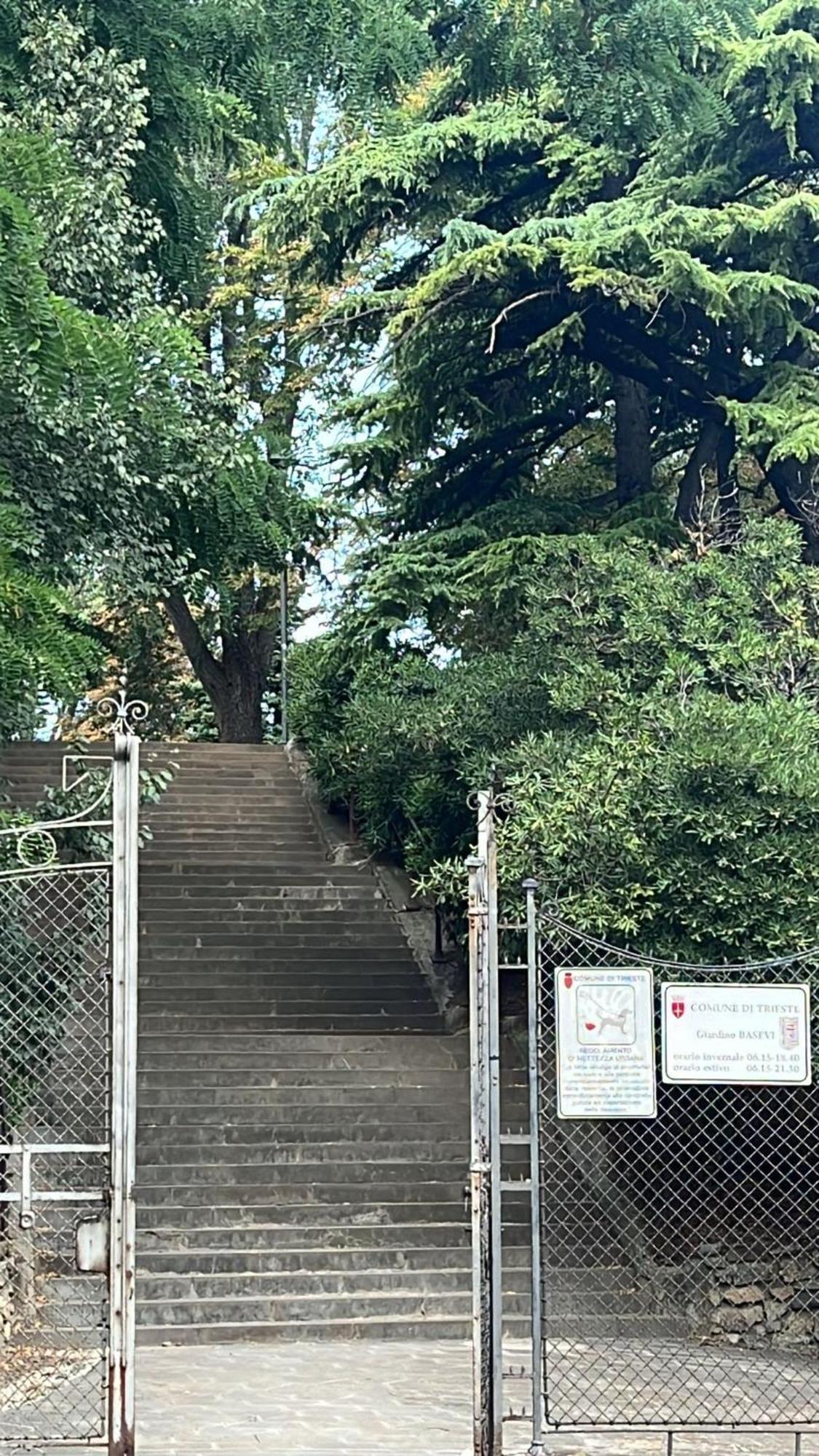 的里雅斯特Casa Alice A 2 Passi Dal Centro 55 Mt 2公寓 外观 照片
